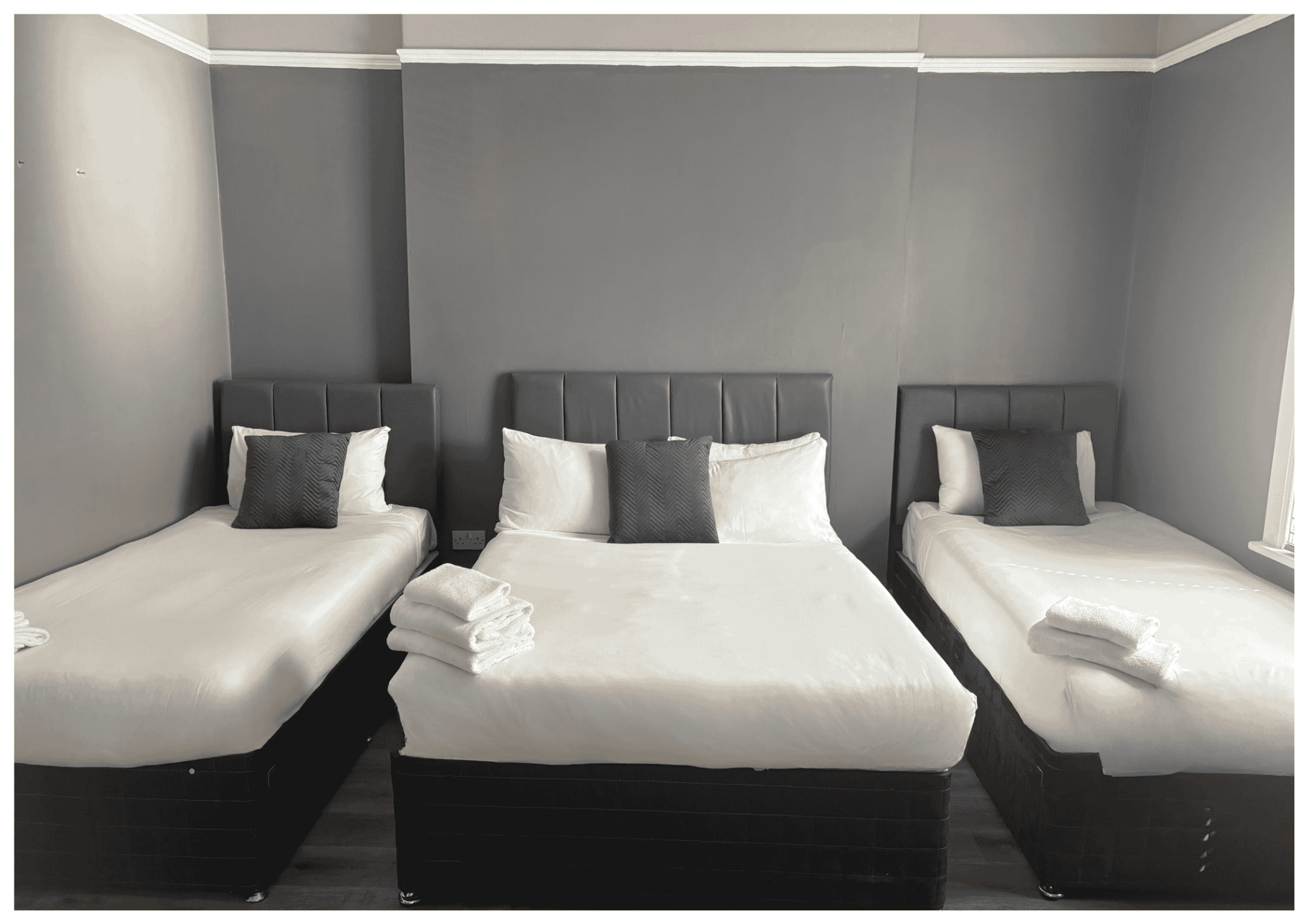 Suite 5