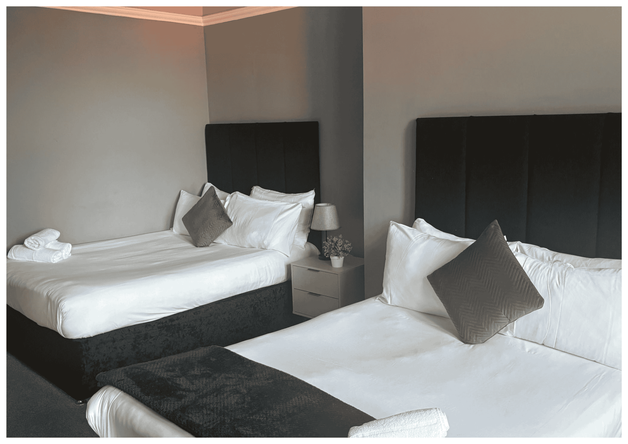 Executive Suite